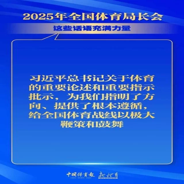 洞悉赛事动态：第374组阵容深度解析全接触